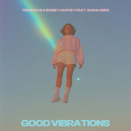 Tensnake, Bobby Harvey, Sarah Bird - Good Vibrations