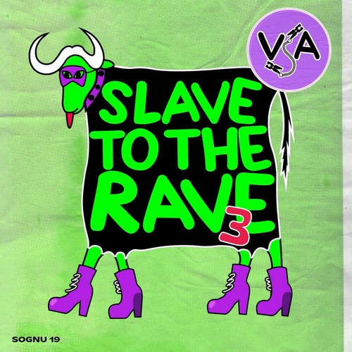 VA  Slave To The Rave #3