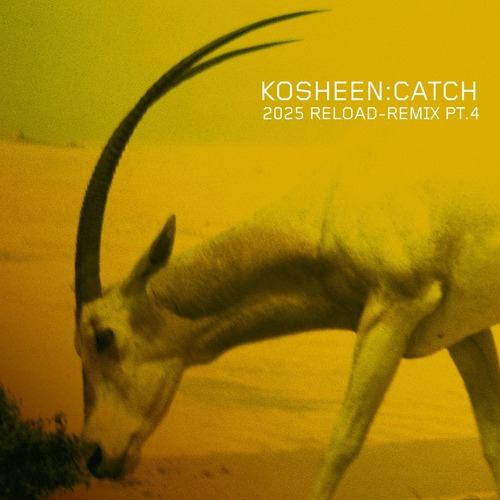 Kosheen  Catch (2025 Reload-Remix, Pt.4) [MOKSHA06DG04]