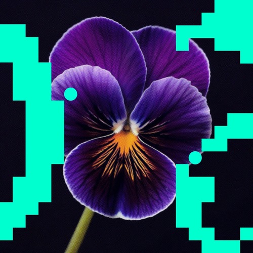 Budakid  Movin On _ A Conscious Distortion [FLRS011DJ]