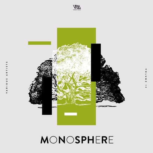 VA - Monosphere Vol. 13